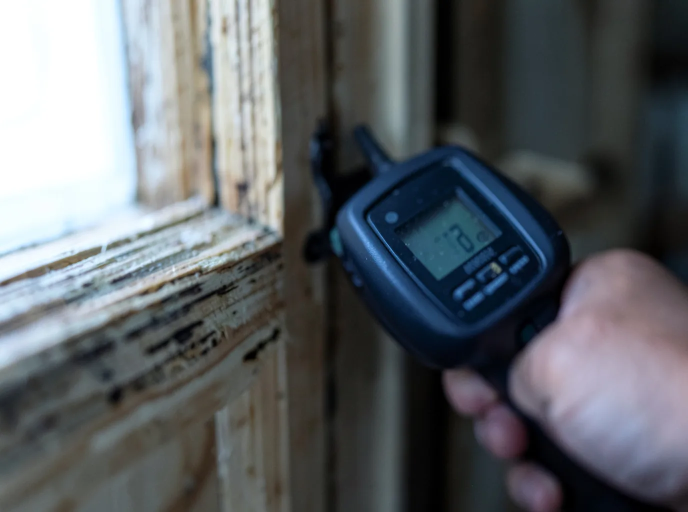 Moisture Inspection And Documentation in Desert Center, CA